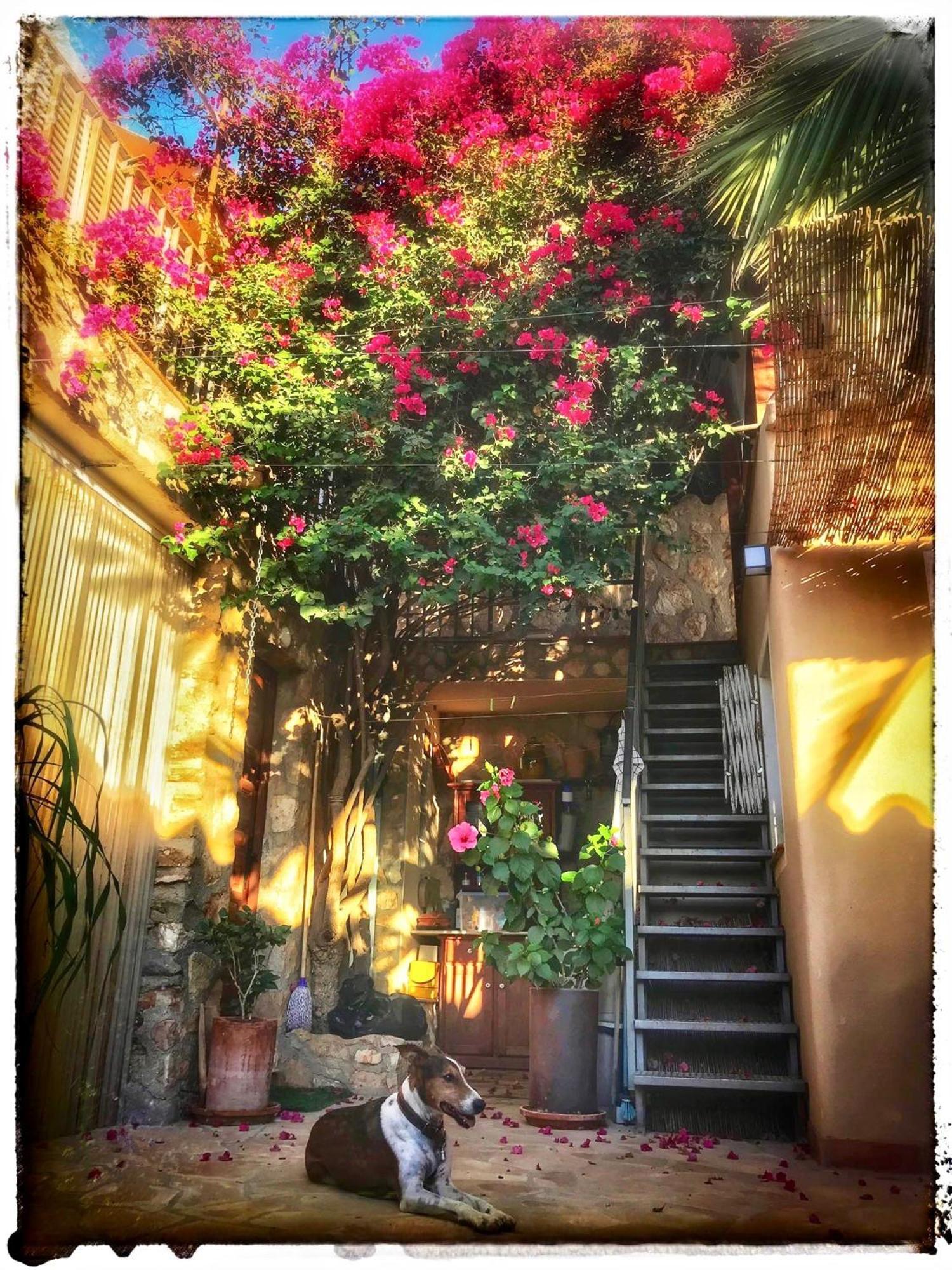 Dachterrassenzimmer In Romantischem Landhaus Mit Pool El Largo ภายนอก รูปภาพ